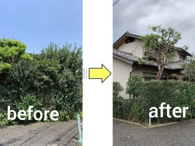 【手つかずの庭専門】☆スッキリ、さっぱり、剪定いたします(土、日、祝、大歓迎)サービスの画像