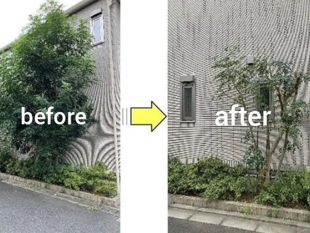 【手つかずの庭専門】☆スッキリ、さっぱり、剪定いたします(土、日、祝、大歓迎)サービスの画像