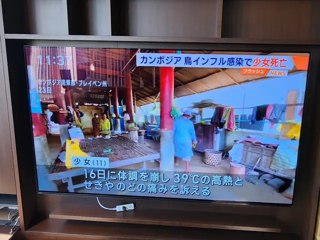 壁掛けテレビ取り付け、金具取り付けサービスの画像