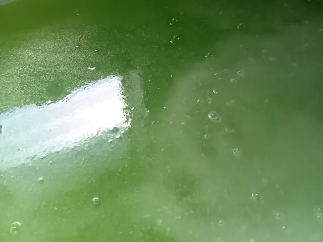 浴室配管に潜むレジオネラ菌も除菌・洗浄します！サービスの画像