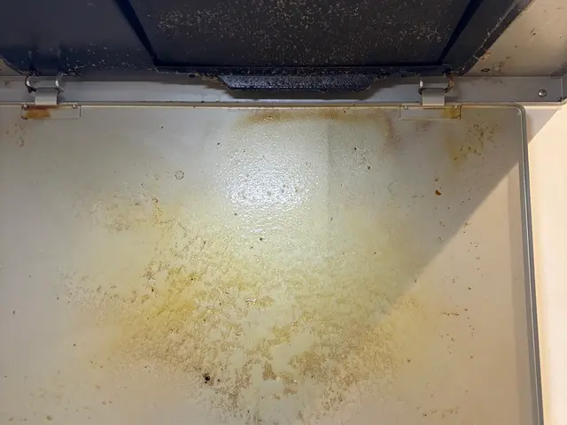 油とさよなら！専用洗剤でさっぱり落とします♪サービスの画像