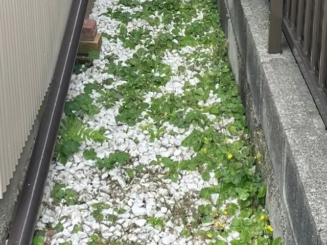 【年末年始深夜当日】深夜当日大歓迎！細かい要望や作業追加にも手寧に対応致します！サービスの画像