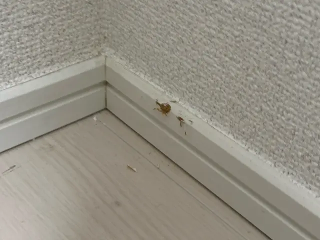 傷やへこみを自然に補修【八王子市】サービスの画像