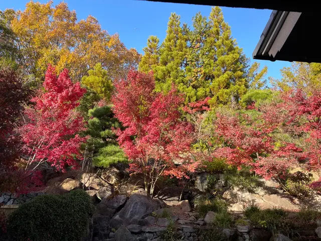 【年中無休で対応しております◎】業界30年の経験あり！店長の私が対応いたします！サービスの画像