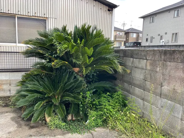 【年中無休で対応しております◎】業界30年の経験あり！店長の私が対応いたします！サービスの画像