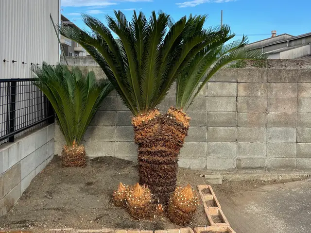 【年中無休で対応しております◎】業界30年の経験あり！店長の私が対応いたします！サービスの画像