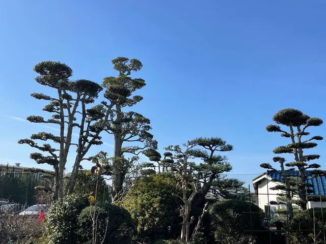 【年中無休で対応しております◎】業界30年の経験あり！店長の私が対応いたします！サービスの画像