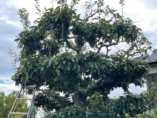 【年中無休で対応しております◎】業界30年の経験あり！店長の私が対応いたします！サービスの画像