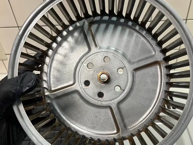 年末の大掃除前早割キャンペーン☆10月末まで10%OFF☆サービスの画像