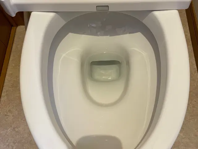 ◉有機酸の力で素材を痛めません！トイレクリーニングは、当社にお任せ！サービスの画像