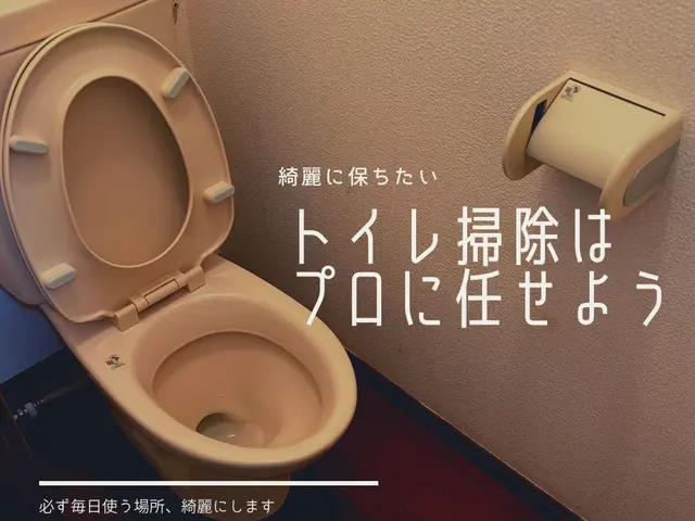 ★10月中に作業実施の方へ★業界最長一週間の施工保証付クリーニング ７,700円サービスの画像
