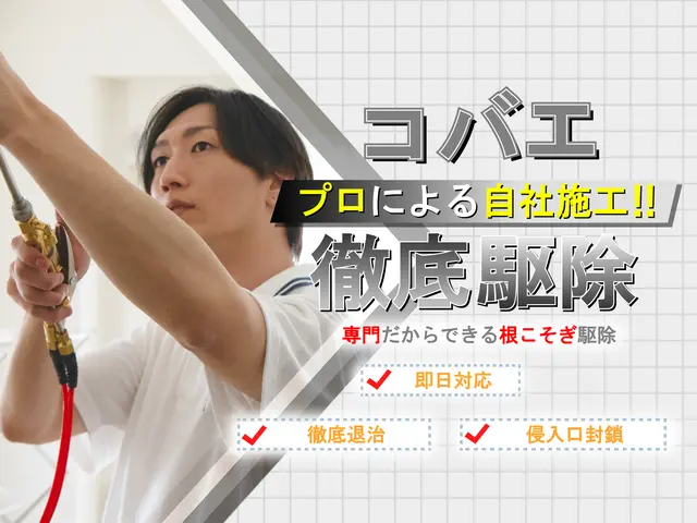 【徹底駆除】コバエ専門の徹底施工！繁殖しやすいコバエも徹底駆除☆完全清掃☆サービスの画像