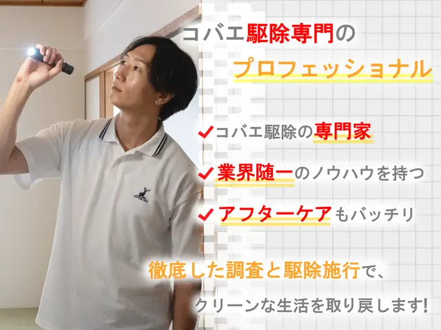 【徹底駆除】コバエ専門の徹底施工！繁殖しやすいコバエも徹底駆除☆完全清掃☆サービスの画像
