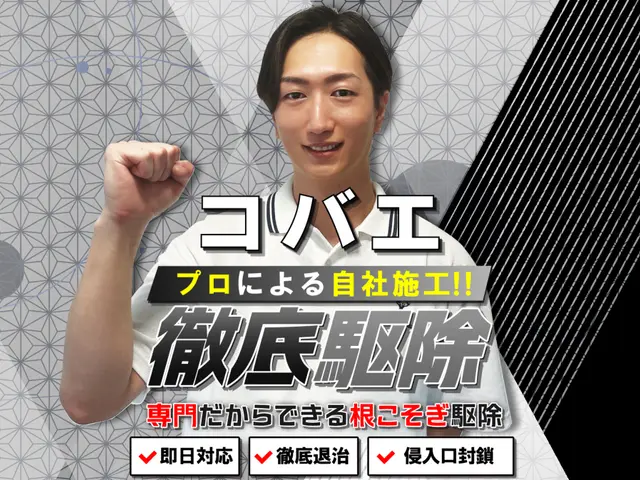 【徹底駆除】コバエ専門の徹底施工！繁殖しやすいコバエも徹底駆除☆完全清掃☆サービスの画像