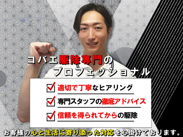 【徹底駆除】コバエ専門の徹底施工！繁殖しやすいコバエも徹底駆除☆完全清掃☆サービスの画像