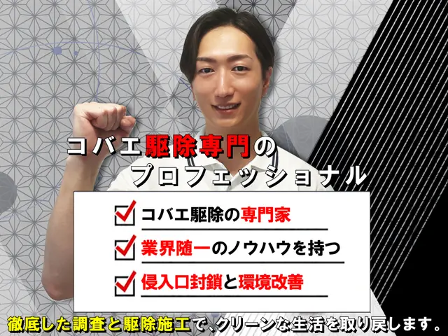 【徹底駆除】コバエ専門の徹底施工！繁殖しやすいコバエも徹底駆除☆完全清掃☆サービスの画像