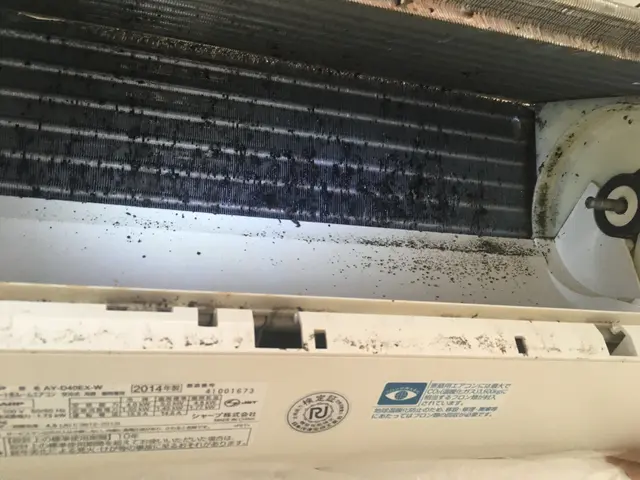 即日対応！サービスの画像