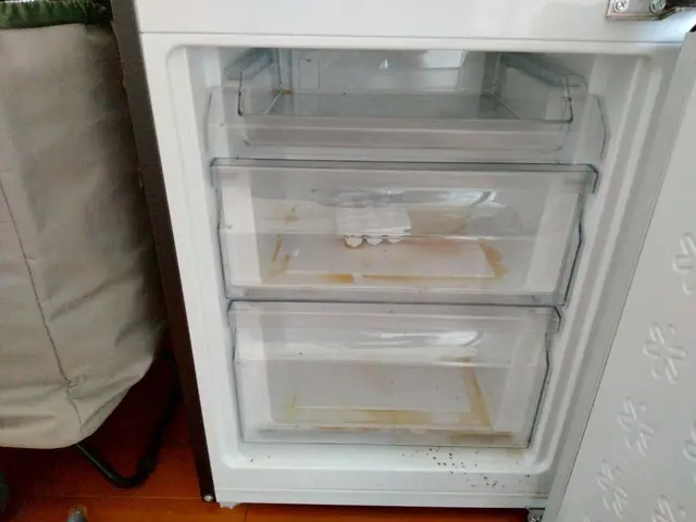 【モニター価格！】臭いも汚れも一掃！ピカピカ冷蔵庫で快適に。サービスの画像