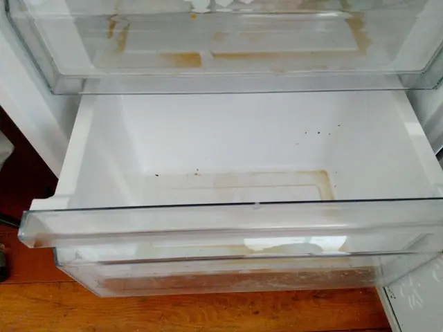 【モニター価格！】臭いも汚れも一掃！ピカピカ冷蔵庫で快適に。サービスの画像
