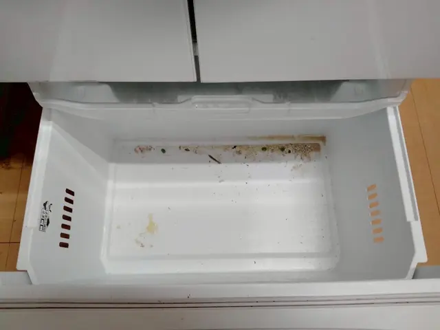 【モニター価格！】臭いも汚れも一掃！ピカピカ冷蔵庫で快適に。サービスの画像