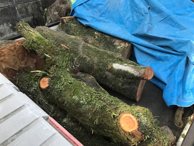 【年間600件の作業実績あり!!】若さを生かして、迅速・丁寧に対応いたします！サービスの画像