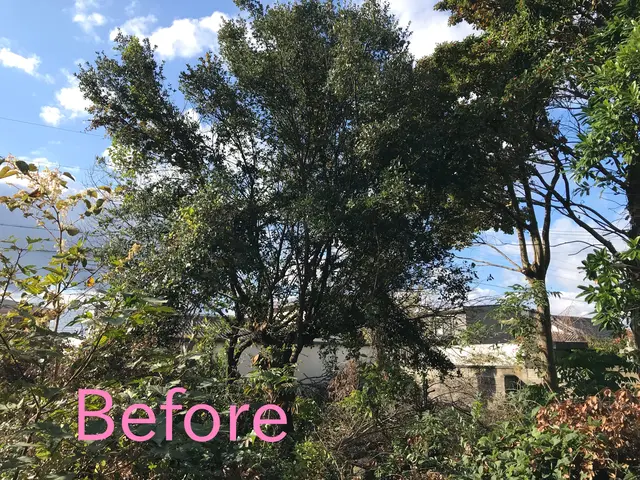 【年間600件の作業実績あり!!】若さを生かして、迅速・丁寧に対応いたします！サービスの画像