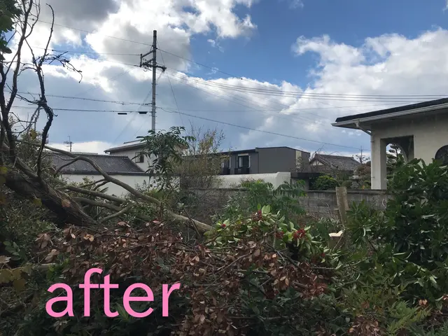 【年間600件の作業実績あり!!】若さを生かして、迅速・丁寧に対応いたします！サービスの画像