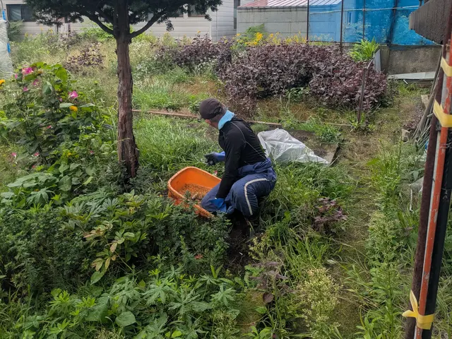 【草むしり・手作業】庭・花壇｜除草・抜根・高齢者対応OKサービスの画像
