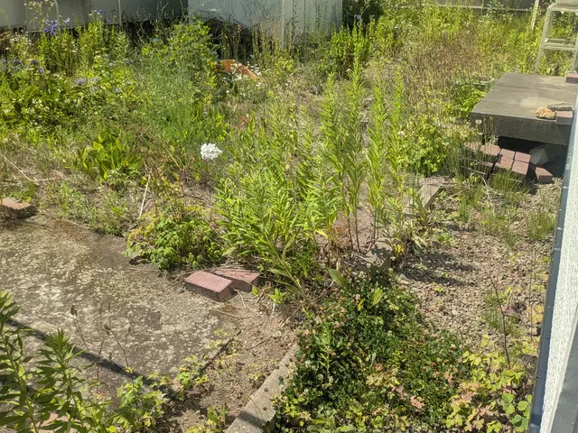 【草むしり・手作業】庭・花壇｜除草・抜根・高齢者対応OKサービスの画像