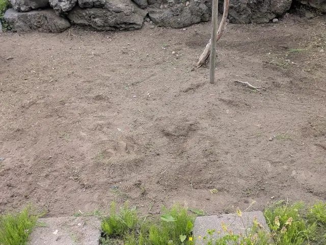 【草むしり・手作業】庭・花壇｜除草・抜根・高齢者対応OKサービスの画像