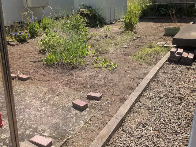 【草むしり・手作業】庭・花壇｜除草・抜根・高齢者対応OKサービスの画像