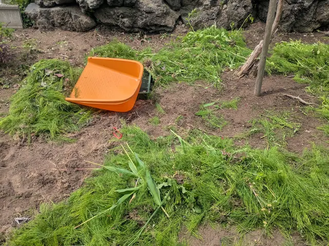 【草むしり・手作業】庭・花壇｜除草・抜根・高齢者対応OKサービスの画像