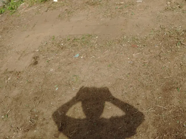 防草シートに関するご相談お待ちしております。お気軽にご連絡下さいませ！！サービスの画像