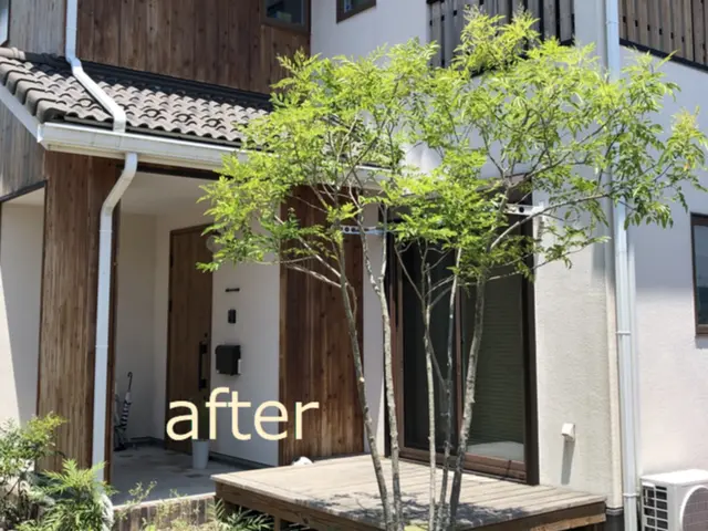 ◤安心・丁寧な庭木のお手入れ◢　ナチュラルな剪定で「毎日の暮らしに、緑の癒しを」サービスの画像