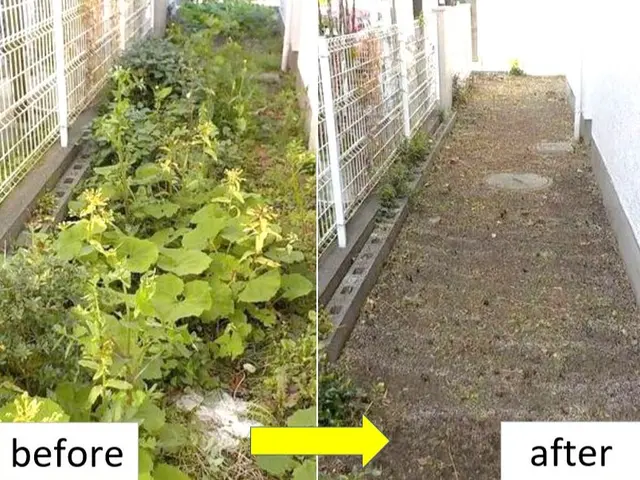 【夏期価格】◆口コミ賞受賞◆50平米処分費込み30,800円円　5〜12月末迄サービスの画像