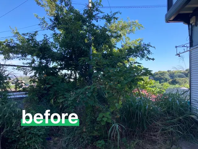 【夏期価格】◆口コミ賞受賞◆50平米処分費込み30,800円円　5〜12月末迄サービスの画像