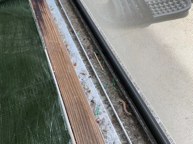 今がお得です☆キレイな窓で明るい暮らしを◆８枚以上で1000円OFF☆サービスの画像