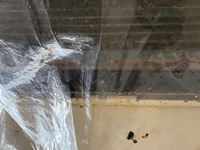 ★業界歴16年★ 経験をいかした安心作業◎コロナ対策◎サービスの画像