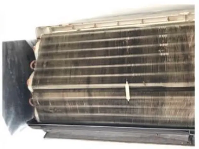 ★業界歴16年★ 経験をいかした安心作業◎コロナ対策◎サービスの画像