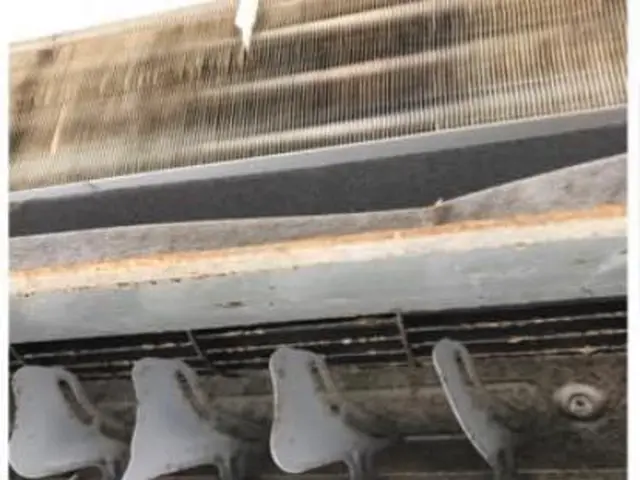 ★業界歴16年★ 経験をいかした安心作業◎コロナ対策◎サービスの画像