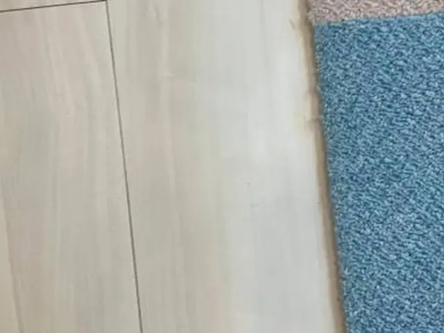 フローリング・ドア傷補修からアルミサッシ・樹脂サッシまで補修しますサービスの画像