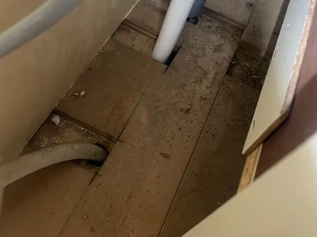 ★当日施工ご相談下さい★こんな所も！侵入口もしっかりチェックします！サービスの画像