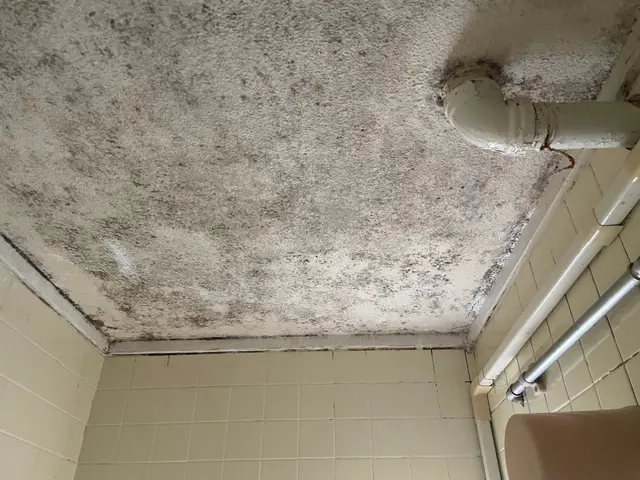 日野です。女性の方のみ日野指名可能です。リセット、大掃除でまとめてお任せくださいサービスの画像