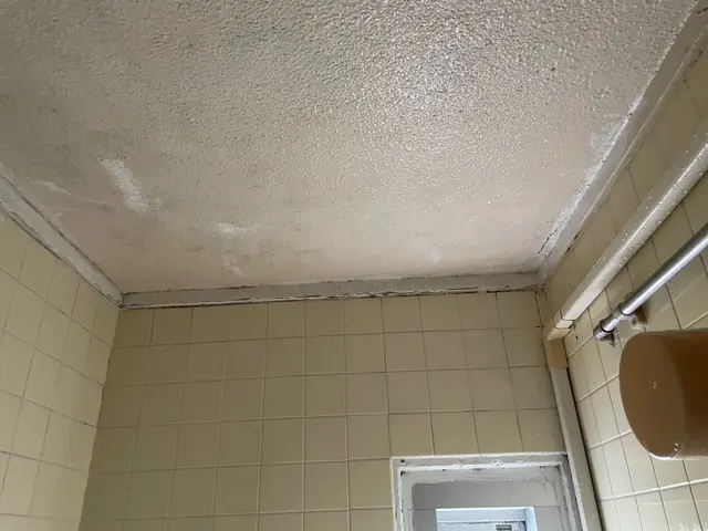 日野です。女性の方のみ日野指名可能です。リセット、大掃除でまとめてお任せくださいサービスの画像