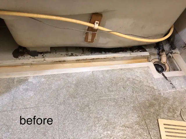 浴室全体洗浄【水垢除去】【カビ除去】【タブ下込】【業界歴20年】サービスの画像