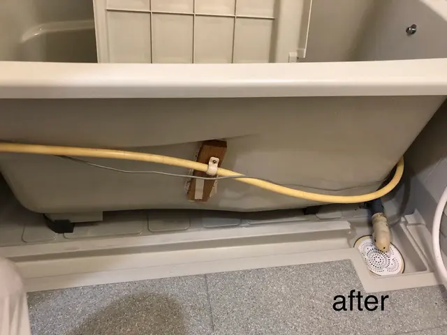 浴室全体洗浄【水垢除去】【カビ除去】【タブ下込】【業界歴20年】サービスの画像