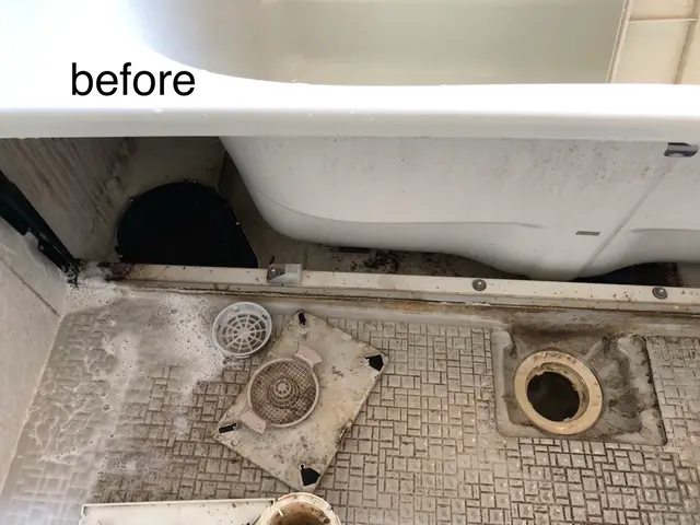 浴室全体洗浄【水垢除去】【カビ除去】【タブ下込】【業界歴20年】サービスの画像