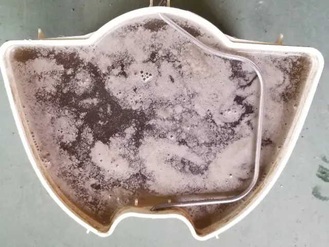 お子様やお肌にも安心☆無害なアルカリ電解水を使用☆消臭・除菌・清掃になります。サービスの画像