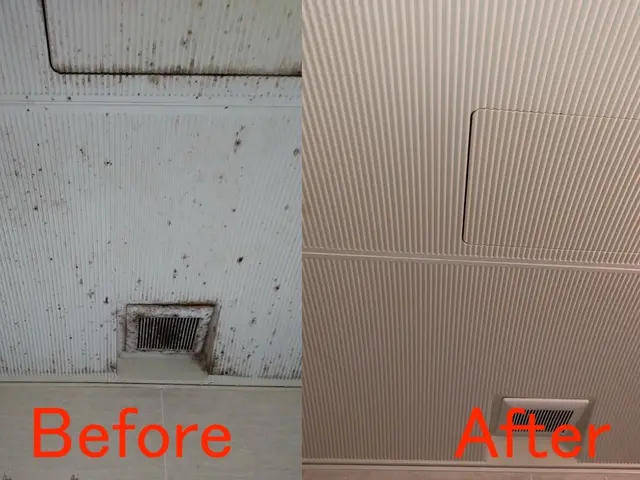 ■まだ間に合う大掃除！■　お掃除苦手な方にお得な2点セット！早めにご予約を！サービスの画像