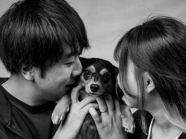 ペットモデルオーディションを担当するフォトグラファーのペット出張撮影サービス